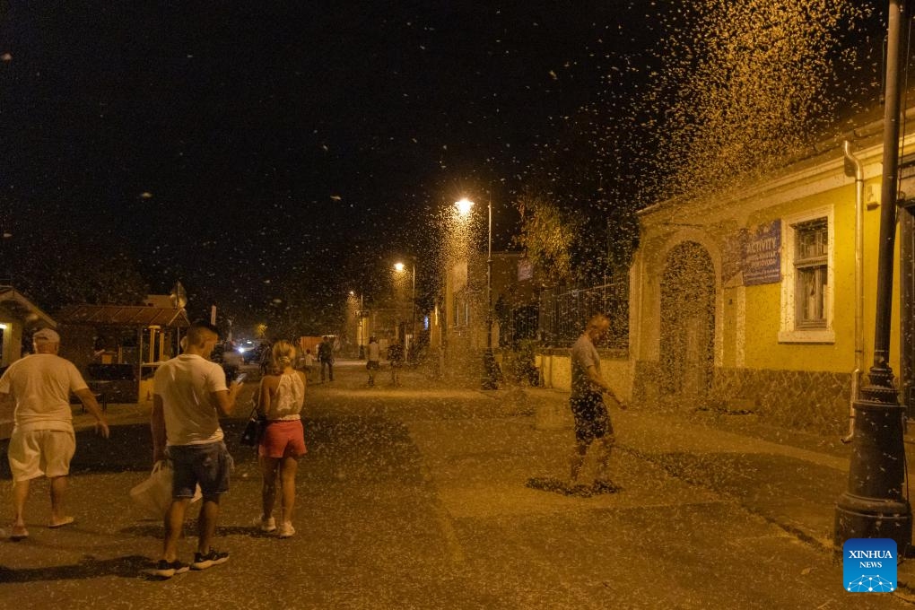 Swarms of mayflies are pictured in Szentendre, Hungary on Sept. 1, 2024. (Photo: Xinhua)