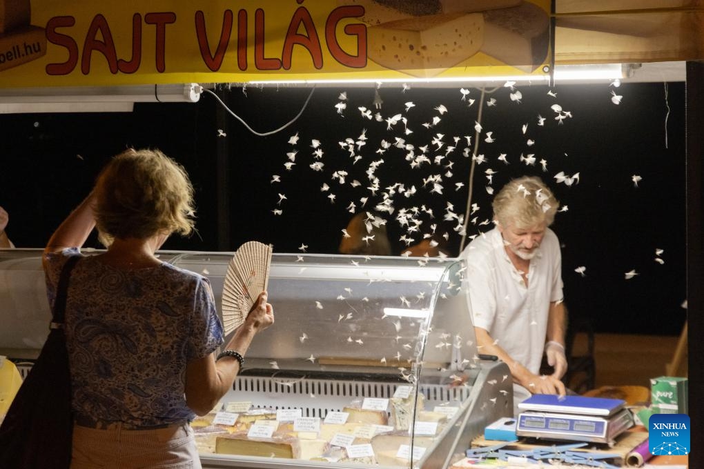 Swarms of mayflies are pictured in Szentendre, Hungary on Sept. 1, 2024. (Photo: Xinhua)