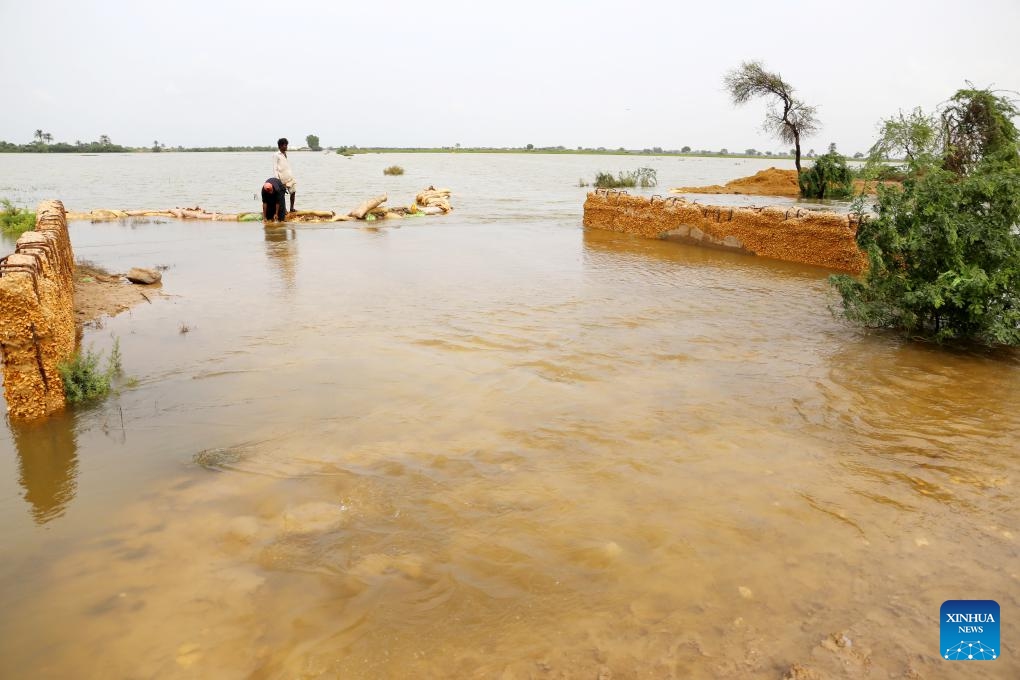 This photo taken on Sept. 2, 2024 shows a flooded area in Dadu district of Pakistan's southern Sindh province. A total of 293 people have been killed and 564 others injured in monsoon rain-triggered accidents in Pakistan in the past two months as heavy downpours continued to wreak havoc in parts of the country, according to the National Disaster Management Authority. (Photo: Xinhua)