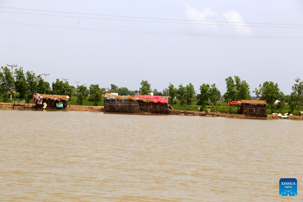 This photo taken on Sept. 2, 2024 shows a flooded area in Dadu district of Pakistan's southern Sindh province. A total of 293 people have been killed and 564 others injured in monsoon rain-triggered accidents in Pakistan in the past two months as heavy downpours continued to wreak havoc in parts of the country, according to the National Disaster Management Authority. (Photo: Xinhua)