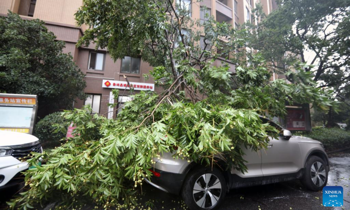 Snapped tree branches hit a vehicle at a community in east China's Shanghai, Sep 16, 2024. Photo:Xinhua