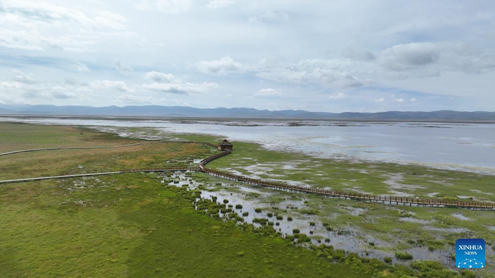 A drone photo taken on Sept. 4, 2024 shows the scenery of Gahai Lake wetland in the Gahai-Zecha National Nature Reserve in Gannan Tibetan Autonomous Prefecture, northwest China's Gansu Province. (Photo: Xinhua)