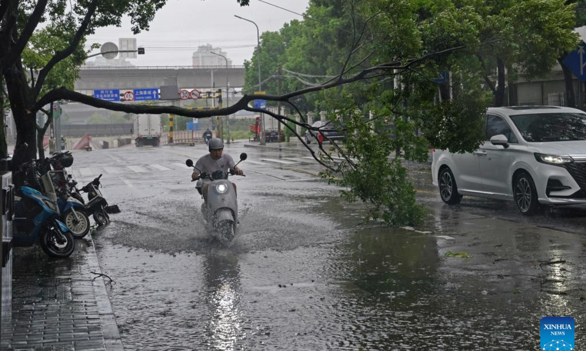 A man rides past a snapped tree branch in the rain in Minhang District of east China's Shanghai, Sep 16, 2024. Photo:Xinhua