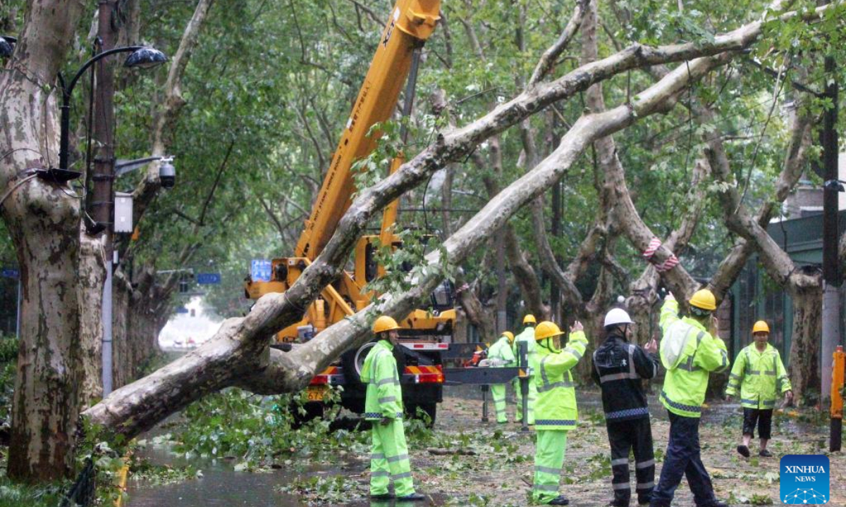 Staff members deal with a fallen tree in a street in east China's Shanghai, Sep 16, 2024. Photo:Xinhua