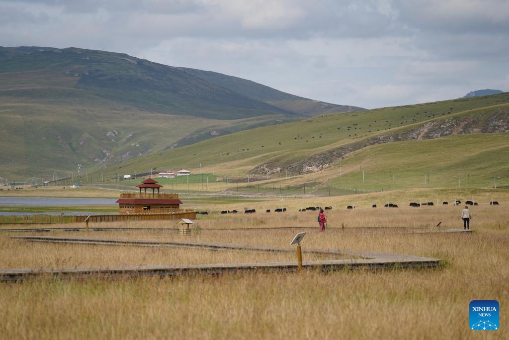 Tourists view the scenery of Gahai Lake wetland in the Gahai-Zecha National Nature Reserve in Gannan Tibetan Autonomous Prefecture, northwest China's Gansu Province, Sept. 4, 2024. (Photo: Xinhua)