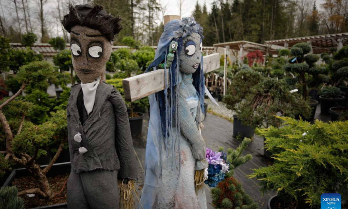 A pair of scarecrows are on display during the annual Art's Nursery Scarecrow Festival in Langley, British Columbia, Canada, Oct. 26, 2024. (Photo: Xinhua)