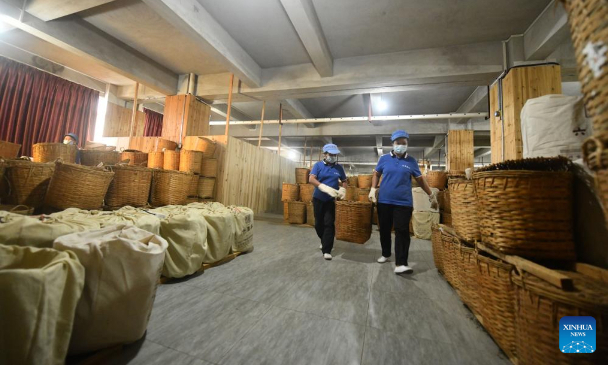 Workers store tea at a company in Wuzhou, south China's Guangxi Zhuang Autonomous Region, Oct. 25, 2024. Liubao tea, a Chinese dark tea characterized by its strong and lingering fragrance and medical effects, boasts a history of more than 1,500 years. Famous for Liubao tea making, the city of Wuzhou has over 400,050 mu (about 26,670 hectares) of tea plantations, with an output value exceeding 20 billion yuan (about 2.8 billion dollars). (Photo: Xinhua)