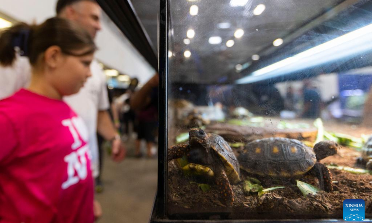 People watch tortoises during the 2024 Canadian Pet Expo in Mississauga, Ontario, Canada, on Sep 14, 2024. The annual two-day event kicked off here on Saturday. Photo:Xinhua