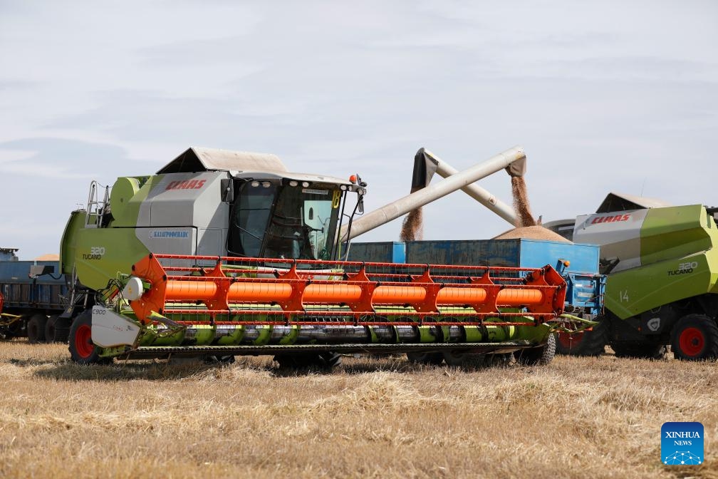 This photo taken on Sept. 3, 2024 shows a reaper harvesting wheat in a field near Astana, Kazakhstan. Many regions in northern Kazakhstan enter harvest season for spring wheat in September. According to the country's agriculture ministry, about 3 million hectares of wheat have been harvested as of Tuesday. (Photo: Xinhua)