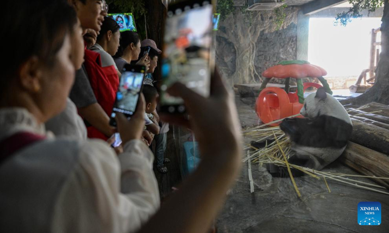 Tourists visit the giant panda hall of Hainan Tropical Wildlife Park and Botanical Garden in Haikou, south China's Hainan Province, Oct. 3, 2024. Exhibition areas of Hainan Tropical Wildlife Park and Botanical Garden were damaged in September due to the impact of Super Typhoon Yagi. Thanks to the restoration efforts for over 20 days, the wildlife park and botanical garden have been reopened to public recently. (Xinhua/Pu Xiaoxu)