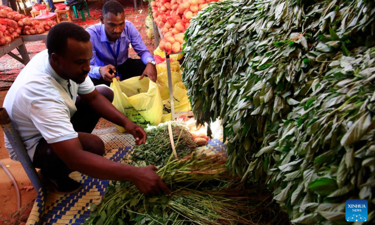 Sudanese volunteers prepare vegetables to be distributed to displaced citizens in Omdurman, Sudan, Oct. 5, 2024. (Photo: Xinhua)