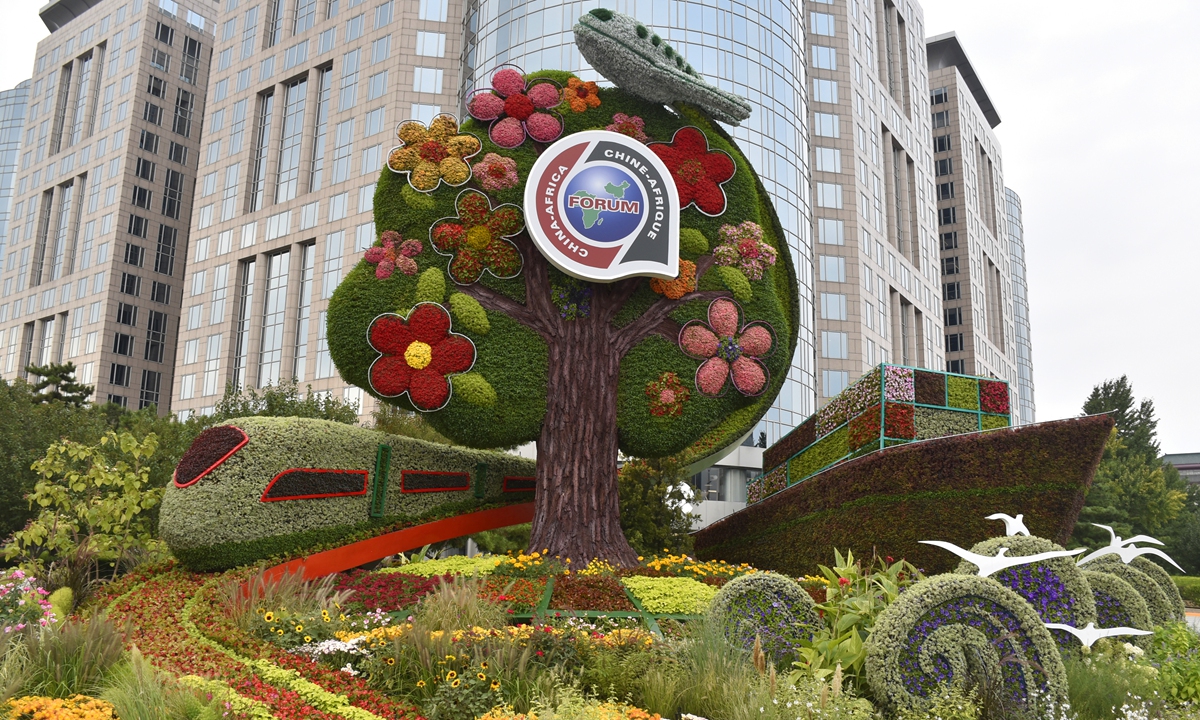 Picture taken on August 31, 2024, shows the theme flowerbeds located at the Dongdan intersection of the Chang’an Avenue in Beijing to welcome the 2024 Summit of the FOCAC, which is being held in the Chinese capital from September 4 to 6. Photo: VCG