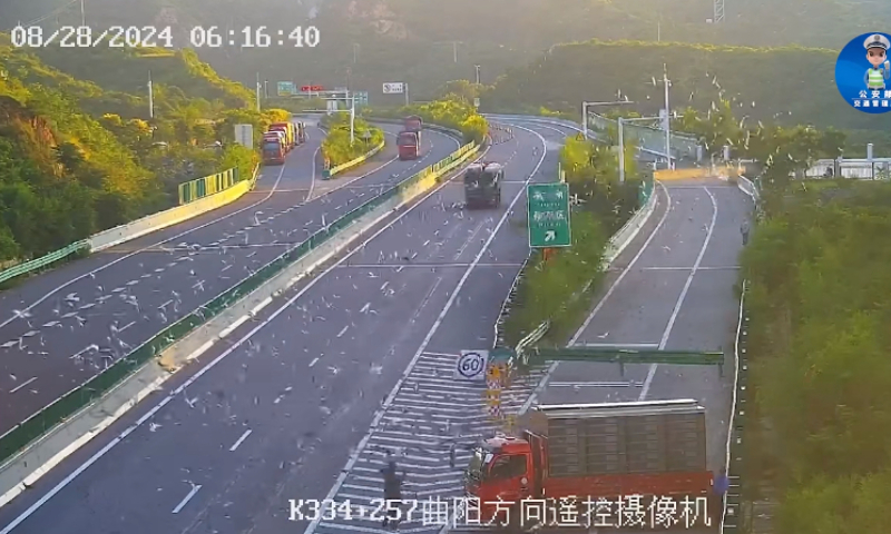 Over 2,000 pigeons set free on an expressway in Hebei Province cause accident