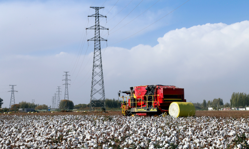 A harvester collects cotton in a field in Awati county, Aksu prefecture, Northwest China's Xinjiang Uygur Autonomous Region, on October 17, 2024. At present, a total of 86,667 hectares of cotton planted in Awati has entered the harvesting period, and farmers are using machines to collect cotton and store the harvest in warehouses. Photo: VCG