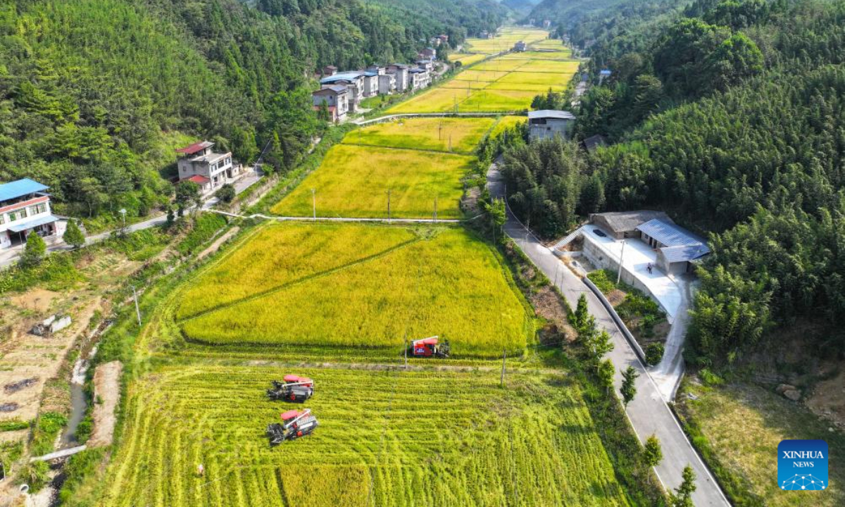 An aerial drone photo shows rice harvesters working in the field at Yinxing Village in southwest China's Chongqing Municipality, Sep 5, 2024. Photo:Xinhua