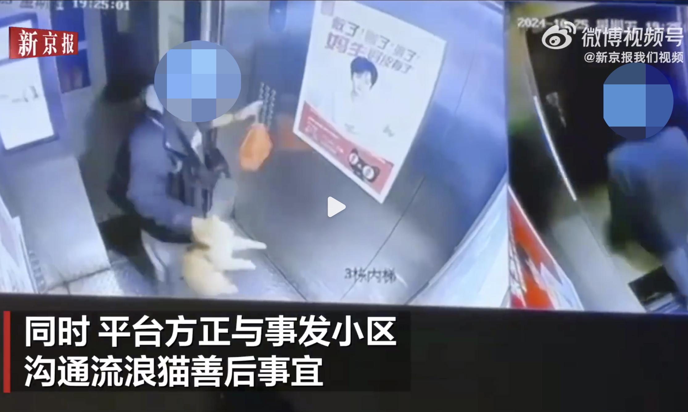 A screenshot of a surveillance video from a residential community in Changsha, Central China’s Hunan Province, captures the incident involving a food delivery worker caught a cat. Video was released by The Beijing News 