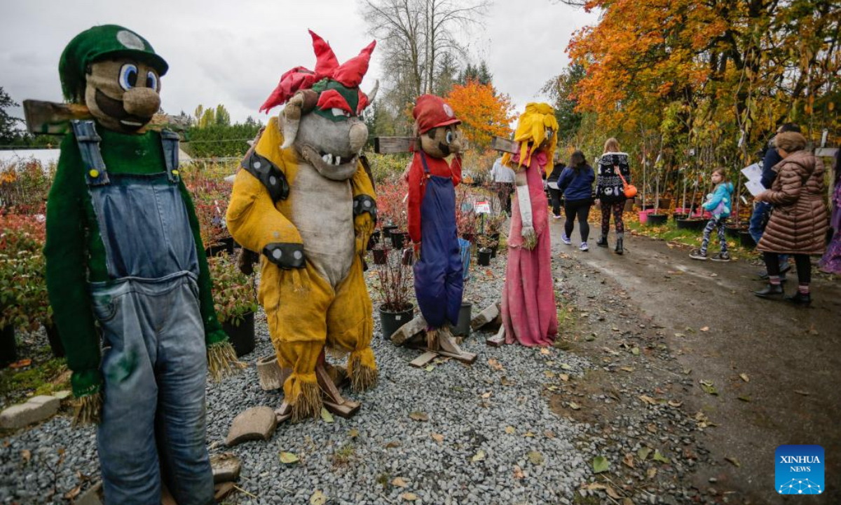 People walk past the scarecrows during the annual Art's Nursery Scarecrow Festival in Langley, British Columbia, Canada, Oct. 26, 2024. (Photo: Xinhua)