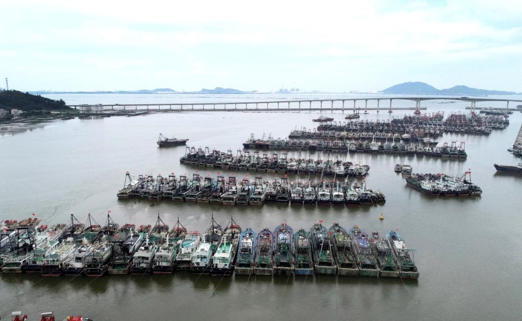 An aerial drone photo taken on Sept. 5, 2024 shows fishing boats docking at Bohe port in Dianbai, south China's Guangdong Province. The State Flood Control and Drought Relief Headquarters raised its emergency response for flood and typhoon prevention from level III to level II in Guangdong and Hainan provinces at 3 p.m. Thursday, as typhoon Yagi approaches. (Photo: Xinhua)