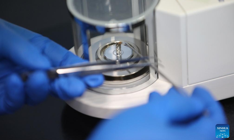 Wang Zhen weighs an animal sample in the Liaoning Ocean and Fisheries Science Research Institute in Dalian, northeast China's Liaoning Province, Sept. 6, 2024. Photo: Xinhua