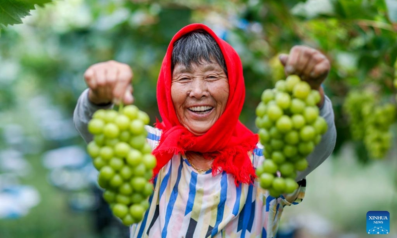 A farmer shows grapes she just picked at a plantation in Linhu Township of Xinghua City, east China's Jiangsu Province, Sept. 7, 2024. Photo: Xinhua