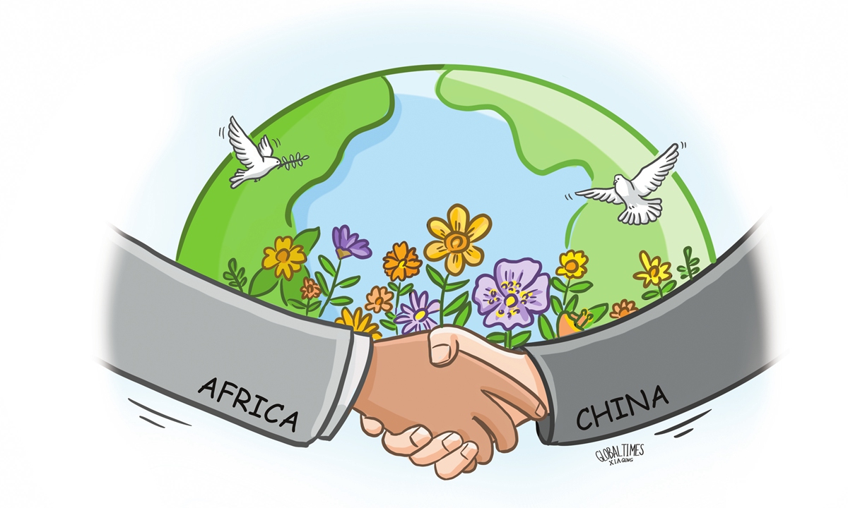 Collaboration between China, Africa helps foster a more just global order