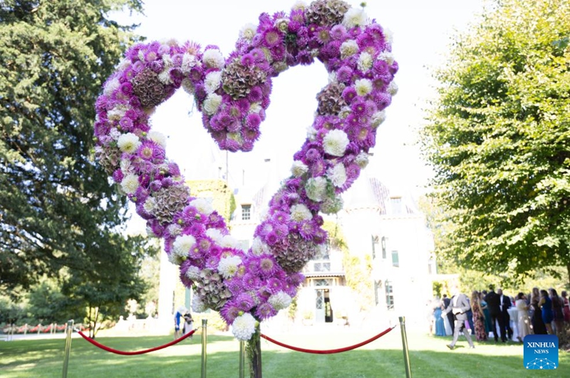 A heart-shaped decoration made of dahlias is displayed at the garden of Keukenhof Castle during the Keukenhof Dahlia Days event in Lisse, the Netherlands, Sept. 7, 2024. The annual event is held here from Sept 6 to 8. Photo: Xinhua