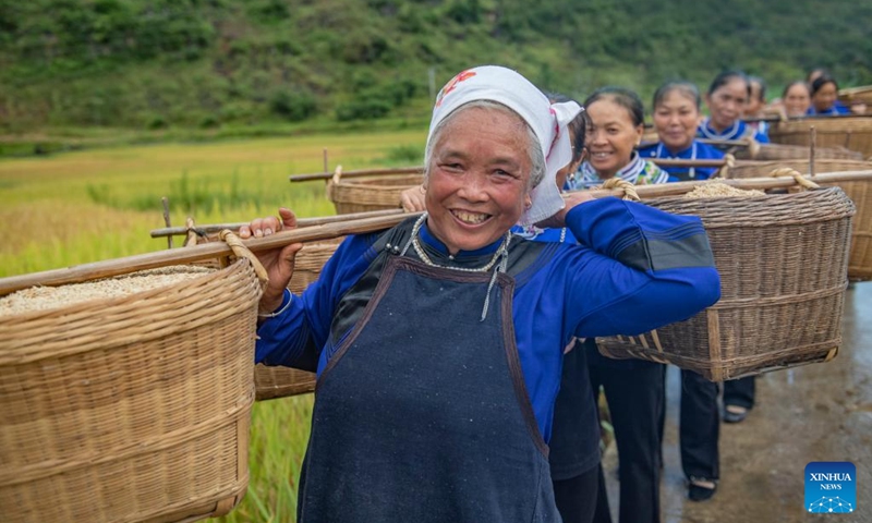 Villagers carry rice at Poxian Village in Guangnan County, Wenshan Zhuang and Miao Autonomous Prefecture in southwest China's Yunnan Province, Sept. 7, 2024. Photo: Xinhua