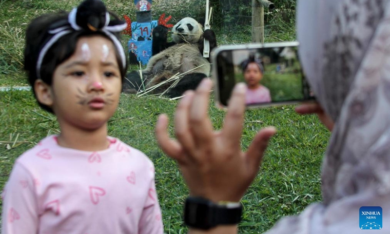 A visitor poses for a photo with the female giant panda Hu Chun during a celebration for her 14th birthday at Taman Safari zoo park in Bogor, West Java, Indonesia, Sept. 7, 2024. Hu Chun from southwest China's Sichuan Province has been living in the park since 2017. Photo: Xinhua