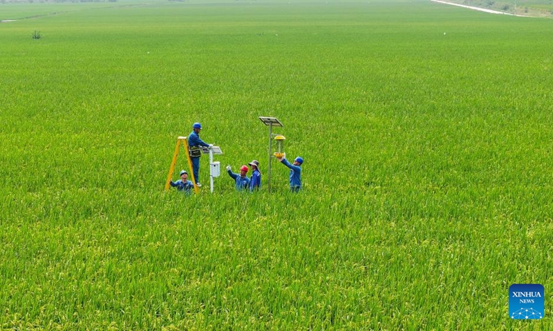 Engineers adjust monitors in the rice field in Huangnigang Town of Nanjiao District, Chuzhou, east China's Anhui Province, Sept. 7, 2024. In recent years, smart technologies have been gradually applied into agricultural management in Nanjiao District of Chuzhou. Photo: Xinhua