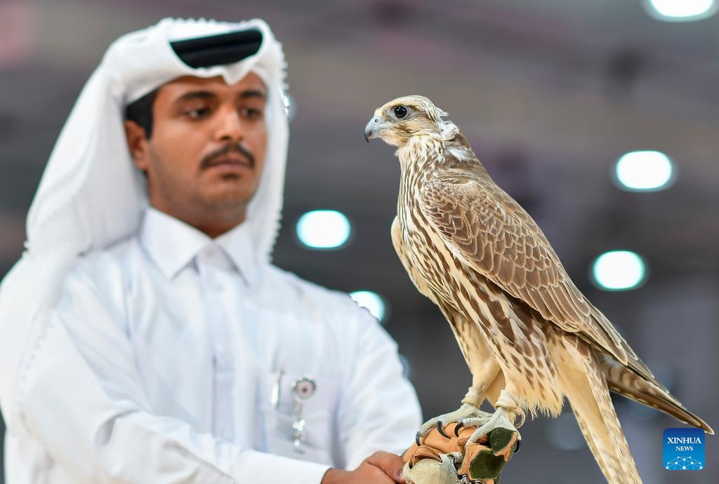 An exhibitor shows a falcon during the eighth edition of Katara International Hunting and Falcons Exhibition 2024 at Katara Cultural Village in Doha, Qatar, Sept. 10, 2024. (Photo: Xinhua)