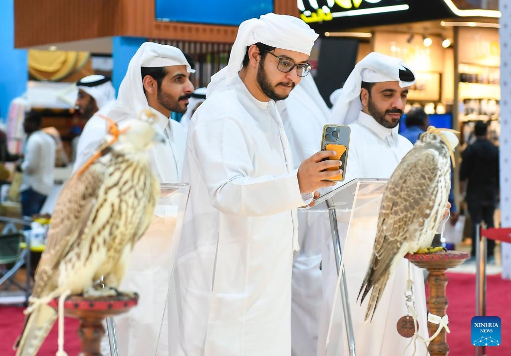 A visitor takes photos of falcons during the eighth edition of Katara International Hunting and Falcons Exhibition 2024 at Katara Cultural Village in Doha, Qatar, Sept. 10, 2024 (Photo: Xinhua)