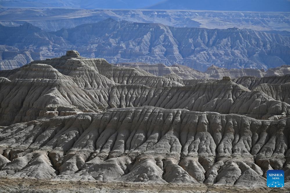 This photo taken on Sept. 9, 2024 shows the landscape of earth forest in Zanda County of Ngari Prefecture, southwest China's Xizang Autonomous Region. Zanda is famous for the unique landscape of earth forest, which was formed by geological movement and soil erosion and listed as a national geological park in 2005. (Photo: Xinhua)