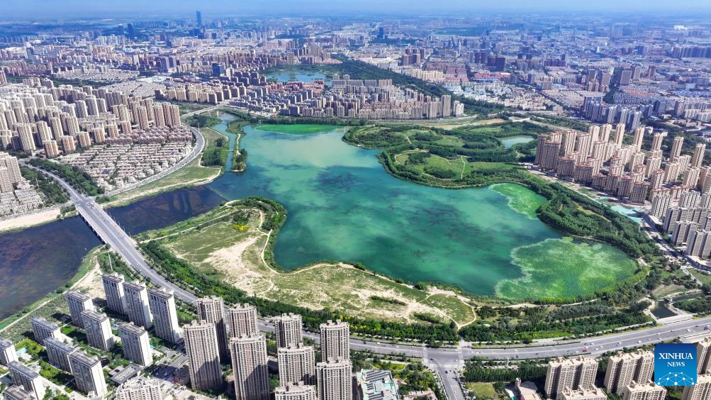 An aerial drone photo taken on Aug. 21, 2024 shows a view in Yinchuan, northwest China's Ningxia Hui Autonomous Region. (Photo: Xinhua)