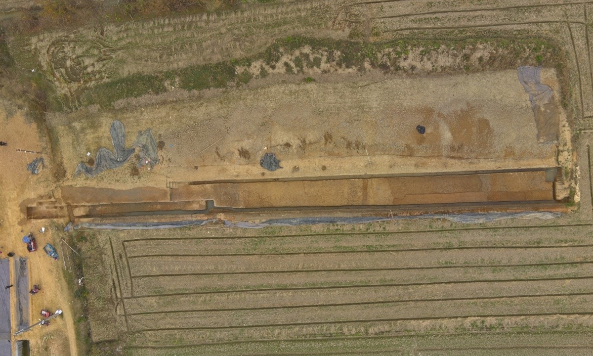 The rice paddy area of the Huangchaodun site in Quzhou, East China's Zhejiang Province. Photo: Courtesy of National Cultural Heritage Administration