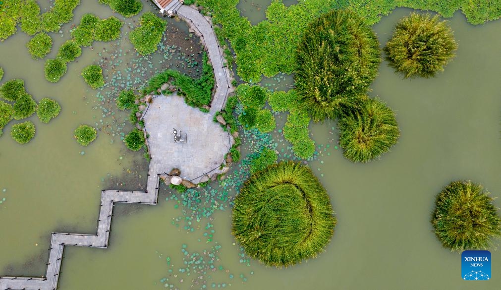 An aerial drone photo taken on Sept. 10, 2024 shows the scenery in Haibao park of Yinchuan, northwest China's Ningxia Hui Autonomous Region. (Photo: Xinhua)