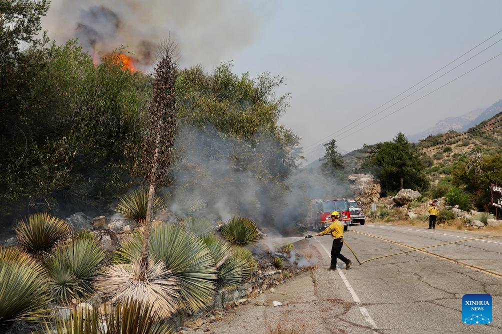 A firefighter battles the wildfire, dubbed the Bridge Fire, in Mt. Baldy community area in Los Angeles County, California, the United States on Sept. 11, 2024. (Photo: Xinhua)