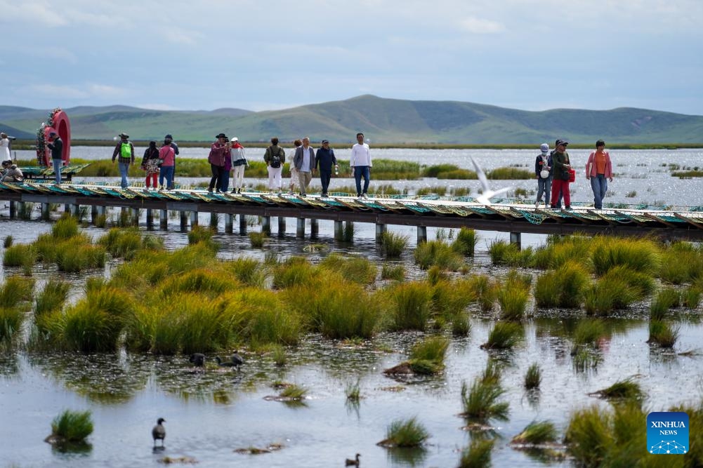 Tourists visit the Huahu Lake scenic spot in Ruoergai Wetland National Nature Reserve, in Ruoergai County of Aba Tibetan-Qiang Autonomous Prefecture, southwest China's Sichuan Province, Sept. 5, 2024. The Ruoergai Wetland National Nature Reserve is established to protect local peat swamp ecosystem and rare species such as the black-necked crane. The ecological environment of protected areas has witnessed a continuous improvement in recent years as the local government implemented substantial measures in ecological restoration and management. (Photo: Xinhua)