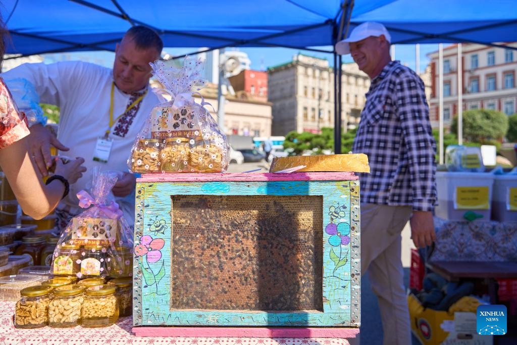 A beekeeper displays a small beehive during the Honey Day held in Vladivostok, Russia, Sept. 12, 2024. (Photo: Xinhua)