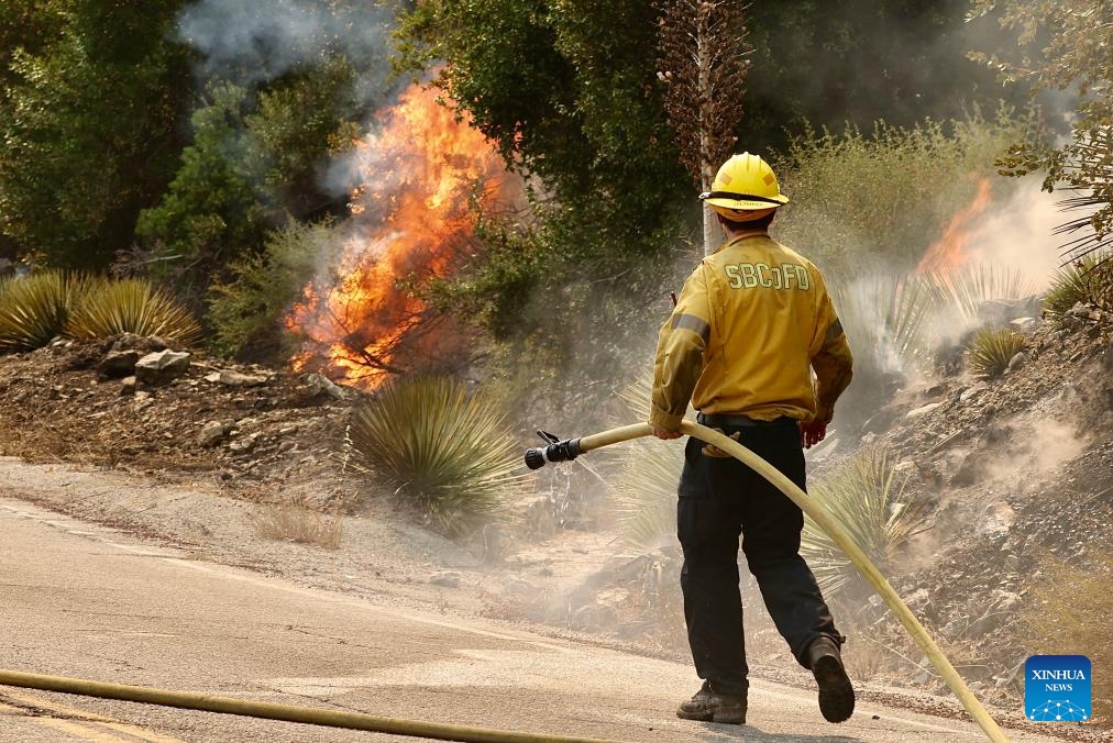 A firefighter battles the wildfire, dubbed the Bridge Fire, in Mt. Baldy community area in Los Angeles County, California, the United States on Sept. 11, 2024. (Photo: Xinhua)