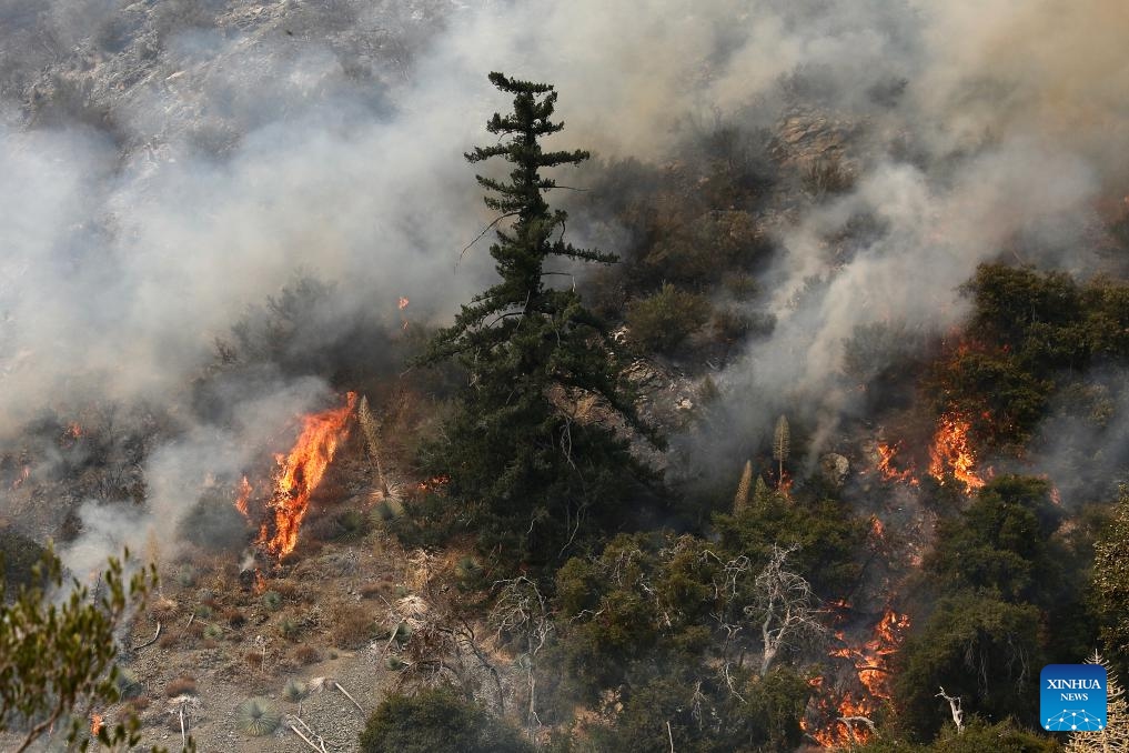 The wildfire, dubbed the Bridge Fire, rages in Mt. Baldy community area in Los Angeles County, California, the United States on Sept. 11, 2024 (Photo: Xinhua)