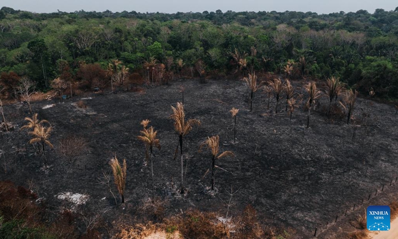 A drone photo taken on Sept. 12, 2024 shows a site after a fire in Porto Velho, state of Rondonia, Brazil. Data recently released by Brazil's National Center for Monitoring and Early Warning of Natural Disasters shows that this year, drought has affected approximately 5 million square kilometers, impacting about 59 percent of the country's territory. (Xinhua/Wang Tiancong)