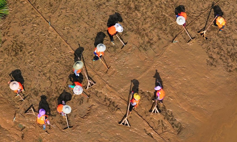 An aerial drone photo taken on Sept. 15, 2024 shows workers clearing silt at the riverside of Yongjiang River in Nanning, south China's Guangxi Zhuang Autonomous Region. Nanning has undergone the most severe flood situation since 2001 after Typhoon Yagi passed by the region on Sept. 12. (Photo: Xinhua)