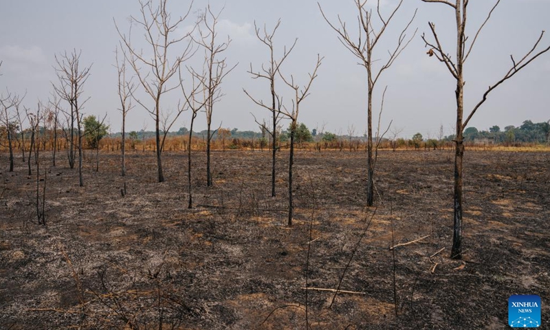 This photo taken on Sept. 12, 2024 shows a site after a fire in Porto Velho, state of Rondonia, Brazil. Data recently released by Brazil's National Center for Monitoring and Early Warning of Natural Disasters shows that this year, drought has affected approximately 5 million square kilometers, impacting about 59 percent of the country's territory. (Xinhua/Wang Tiancong)