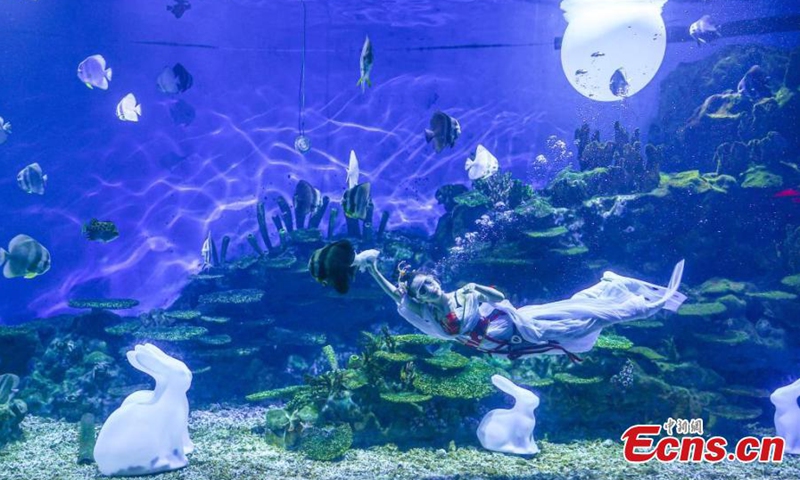 A stunning underwater performance Lady Chang'e Flying to the Moon is staged to greet the upcoming Mid-Autumn Festival at Haichang Ocean Park in Wuhan, central China's Hubei Province, Sept. 13, 2024. (Photo: China News Service)