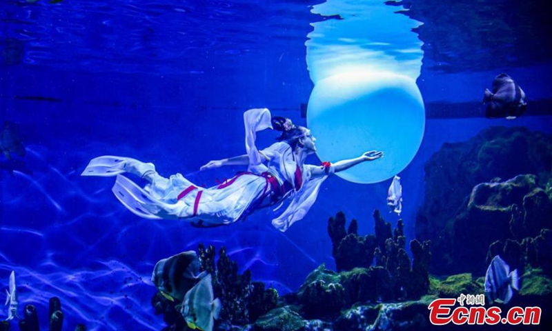 A stunning underwater performance Lady Chang'e Flying to the Moon is staged to greet the upcoming Mid-Autumn Festival at Haichang Ocean Park in Wuhan, central China's Hubei Province, Sept. 13, 2024. (Photo: China News Service)