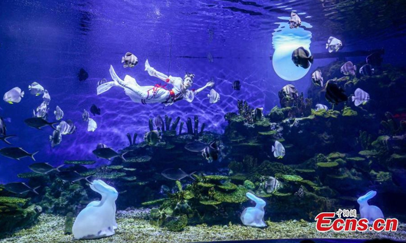 A stunning underwater performance Lady Chang'e Flying to the Moon is staged to greet the upcoming Mid-Autumn Festival at Haichang Ocean Park in Wuhan, central China's Hubei Province, Sept. 13, 2024. (Photo: China News Service)