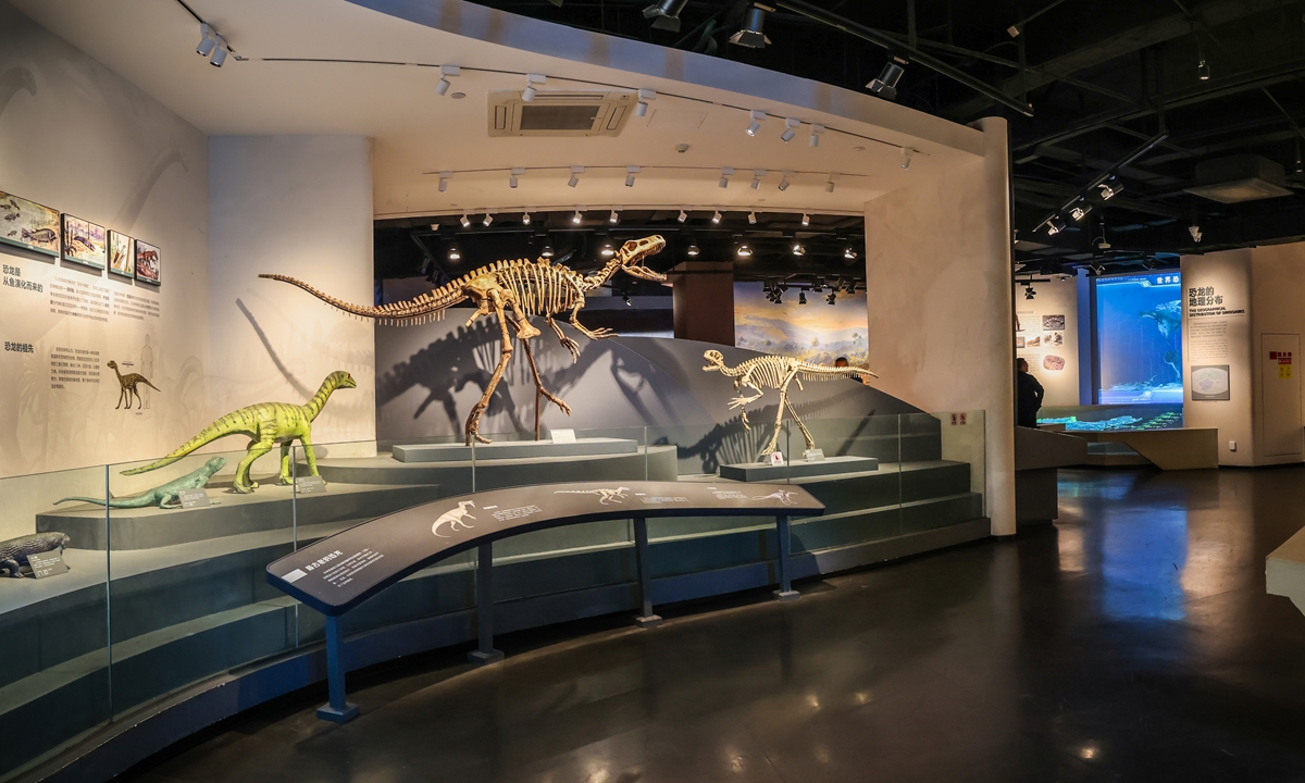 An interior view of the Zigong Dinosaur Museum in Zigong, Southwest China's Sichuan Province  Photo: Courtesy of the Zigong Dinosaur Museum