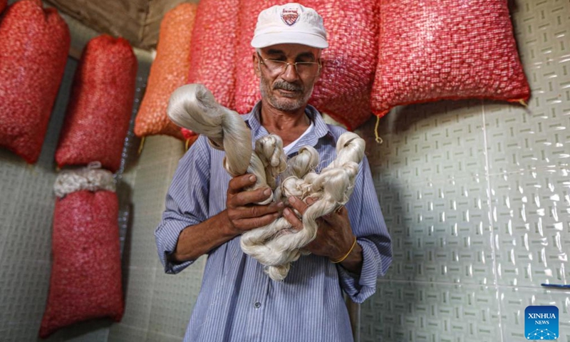 A man shows silk at a collection site at Nagaa Awni village in Beheira governorate, Egypt, on Sept. 7, 2024. Nagaa Awni, located in Beheira governorate about 200 km from Cairo, used to be a village with houses made of mud-brick and straw, relying on external aid for food and blankets. Now, thanks to about eight years of efforts by the locals through various development projects, the village has transformed into a self-sufficient area. (Photo: Xinhua)