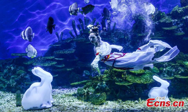 A stunning underwater performance Lady Chang'e Flying to the Moon is staged to greet the upcoming Mid-Autumn Festival at Haichang Ocean Park in Wuhan, central China's Hubei Province, Sept. 13, 2024. (Photo: China News Service)