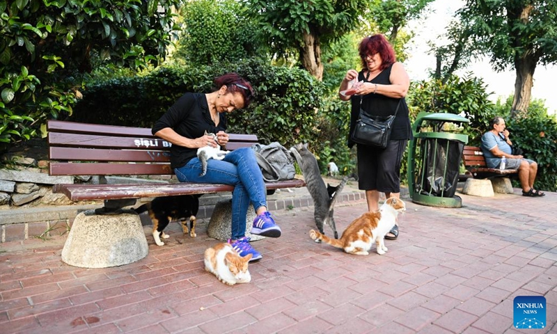 People feed stray cats in a park in Istanbul, Türkiye, Sept. 16, 2024. Istanbul is known for its cat-loving tradition.  (Photo: Xinhua)